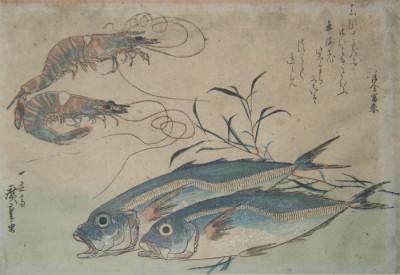 Two Fish and Two Crayfish
