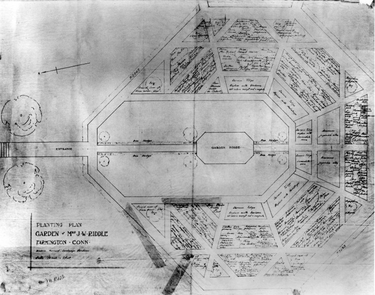 Beatrix Farrand's original planting plan for Hill-Stead